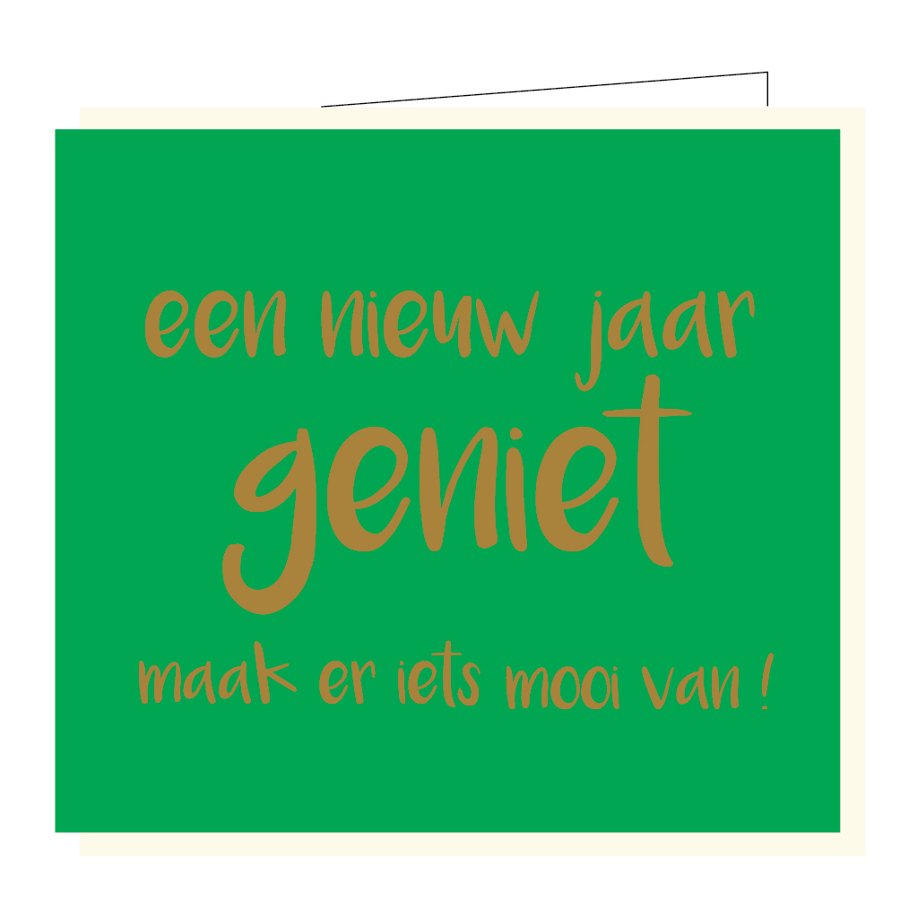 Een nieuw jaar, geniet, maak er iets mooi van !