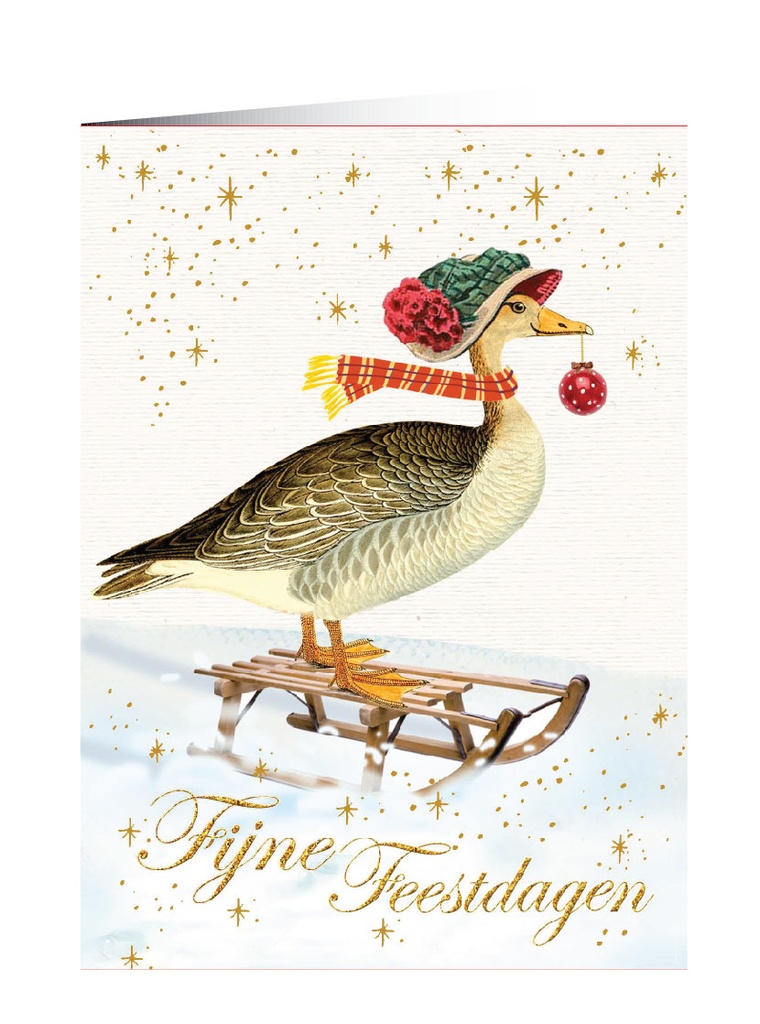 Fijne feestdagen