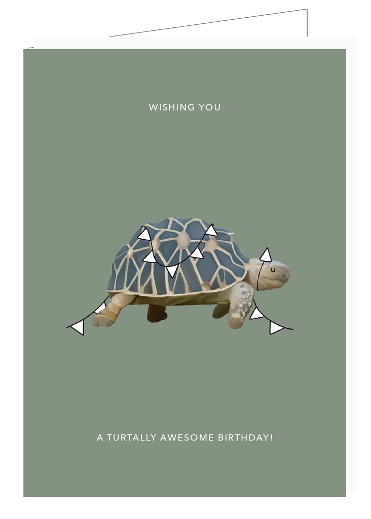 Wishing you a Turtally awesome birthday
