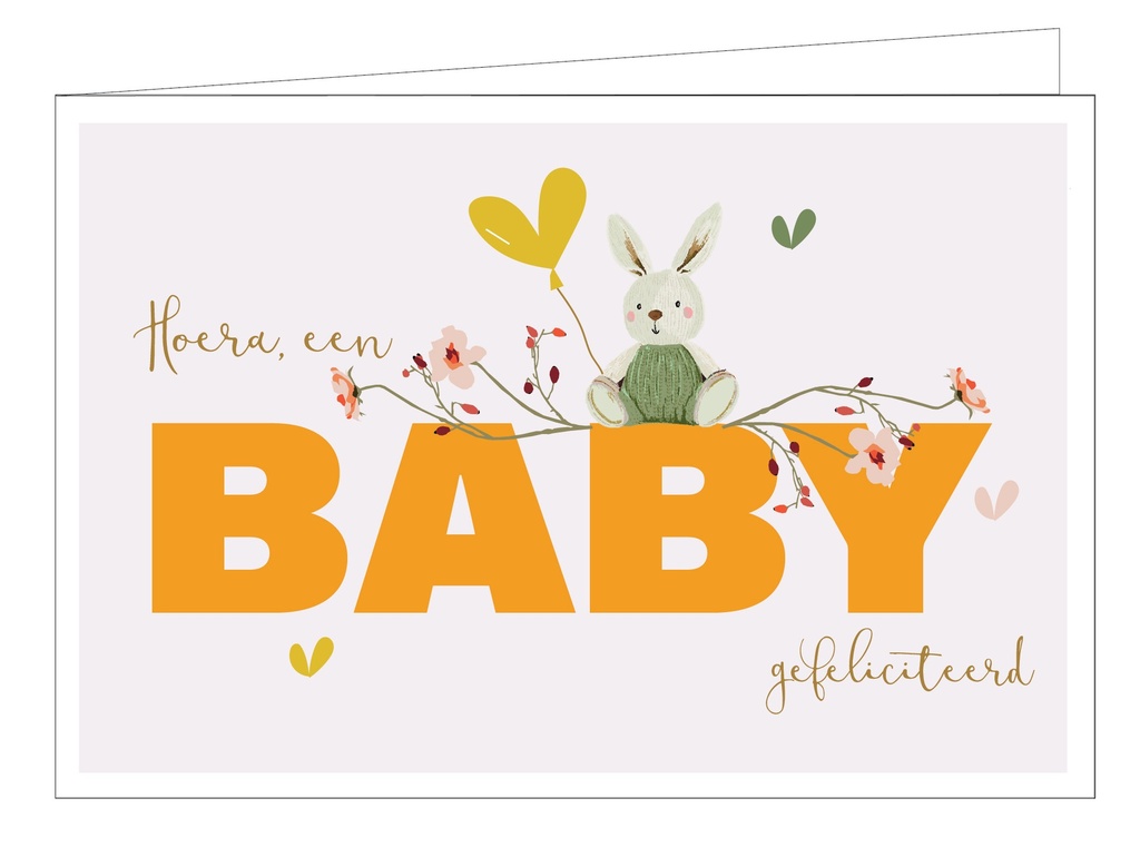 Hoera een baby, gefeliciteerd