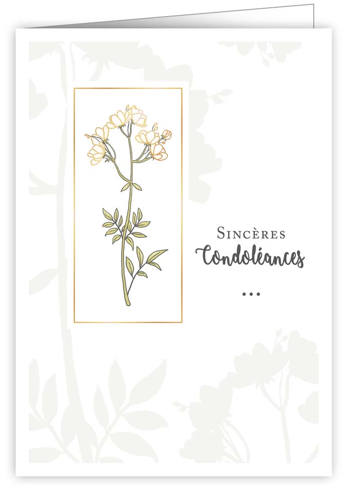 Sincéres condoléances