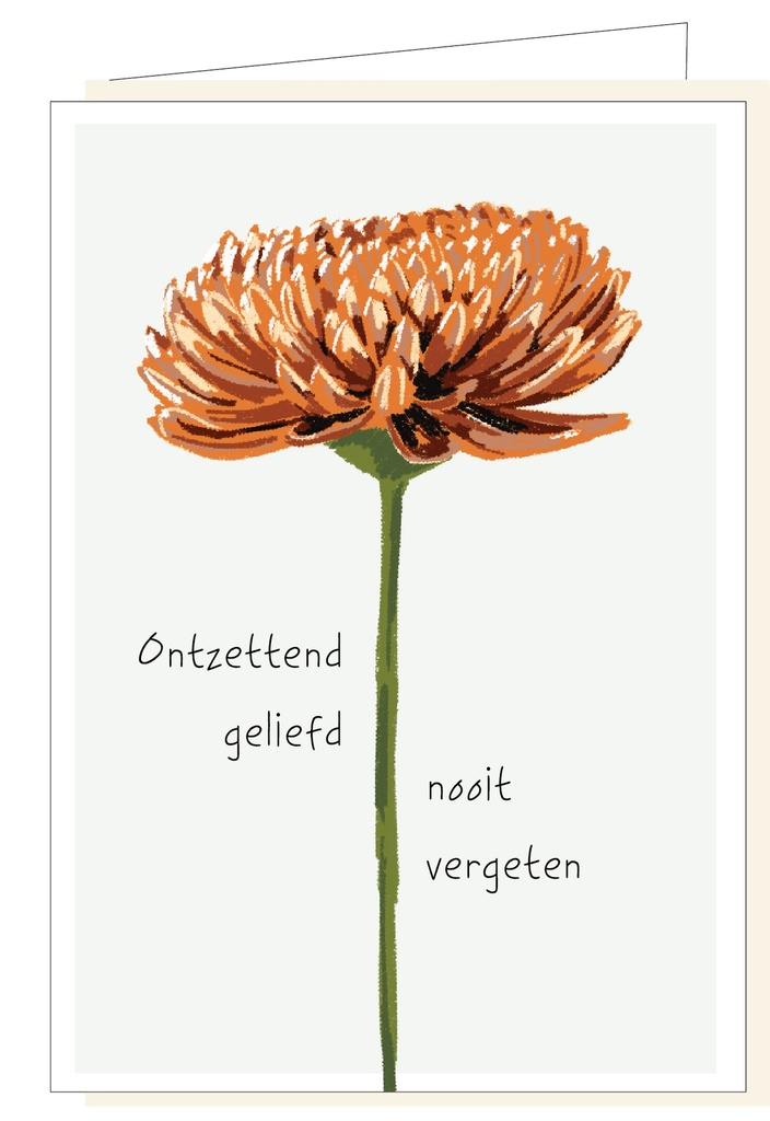 Ontzettend geliefd nooit vergeten