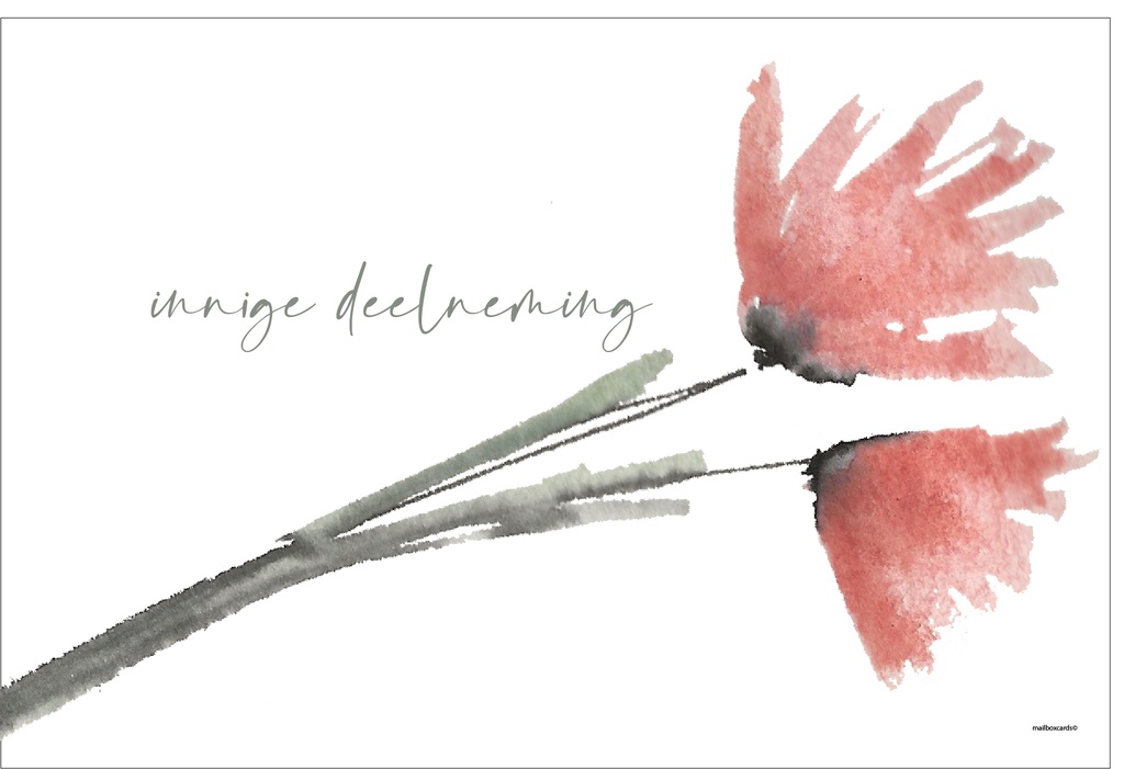 Innige deelneming