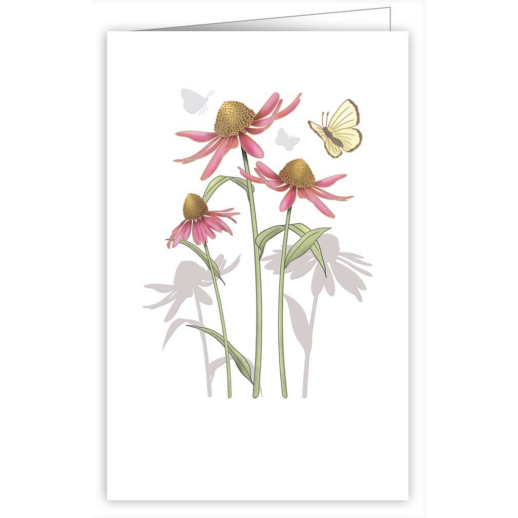 Blanco flowers