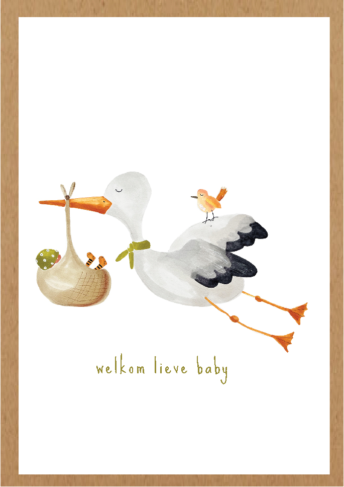 Welkom lieve baby