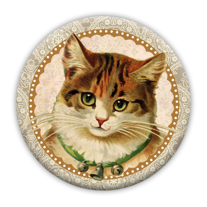 magneet kat