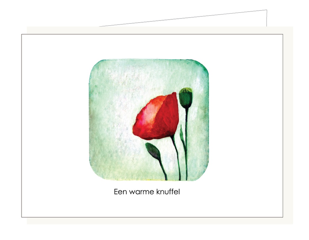 Een warme knuffel
