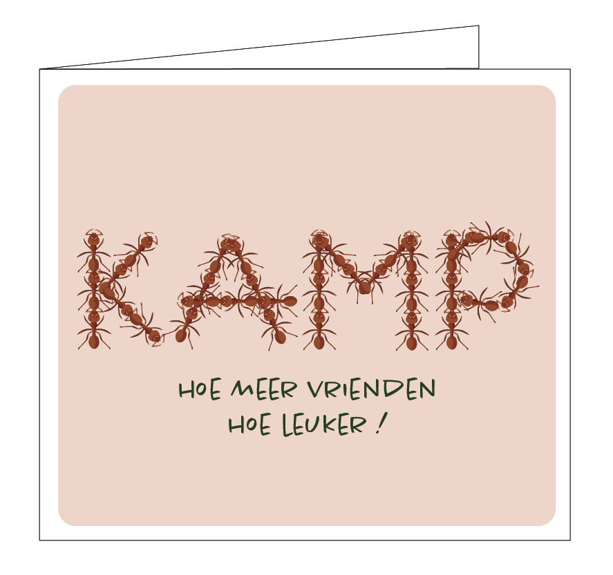 Hoe meer vrienden, hoe leuker !