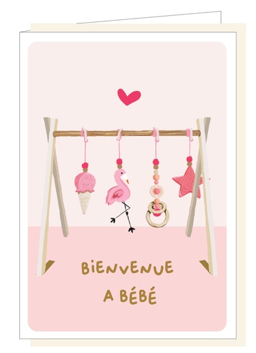 [PIPPAFR010] Bienvenue a bébé