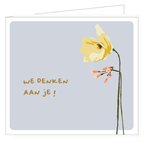 [PIPPA019] We denken aan je