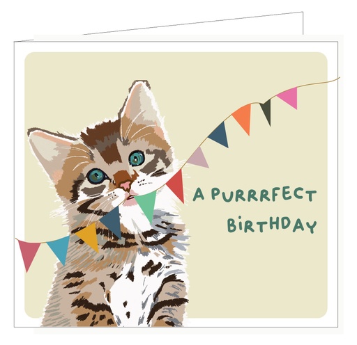 [PIPPA033] A purrrrrfect birthday