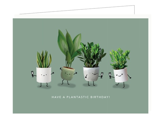 [DP101] Have a plantastic birthday