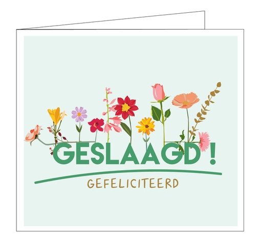 [5195] Geslaagd ! Gefeliciteerd