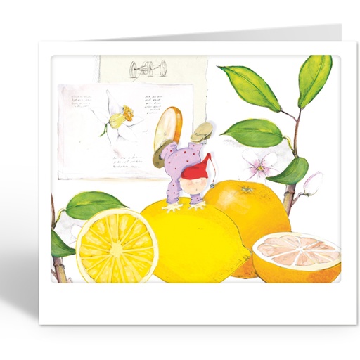 [LG22203] acrobatiek