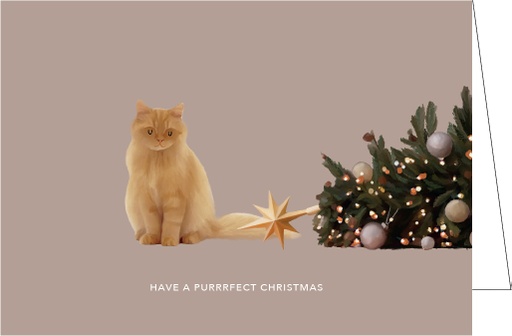 [KPDP088] Have a purrrfect Christmas