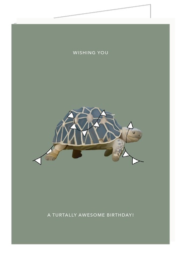 [DP036] Wishing you a Turtally awesome birthday