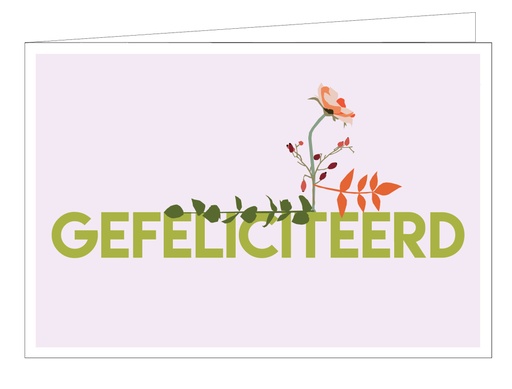 [WM010] Gefeliciteerd