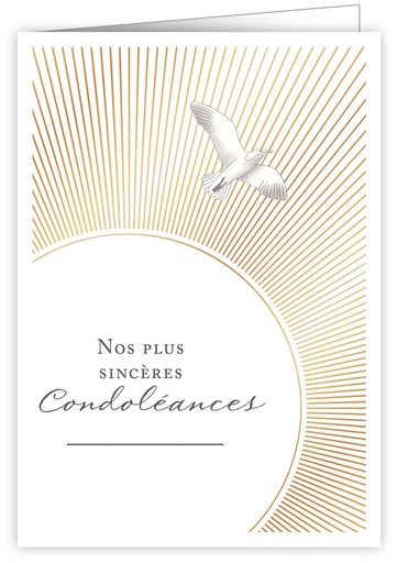 [IWF1063] Nos plus sincéres condoléances