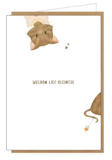 [LIN013] Welkom lief kleintje