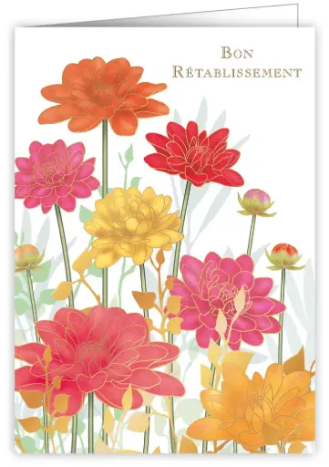 [CLF3329] Bon Rétablissement