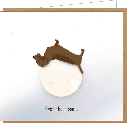 [ME030] over the moon