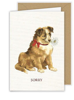 [A081] Sorry