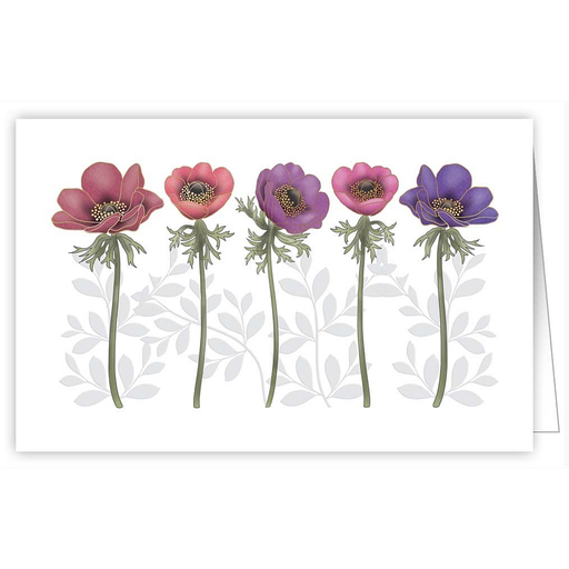 [TMC2428] Blanco flowers