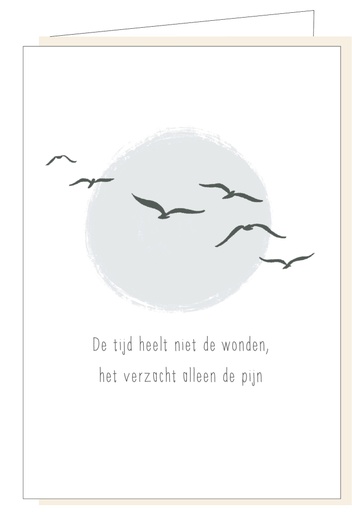 [MM1101] De tijd heelt niet de wonden....