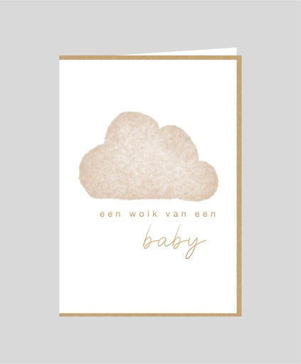 [LF013] een wolk van een baby