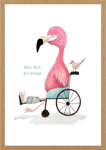 [AA017] Heel veel beterschap