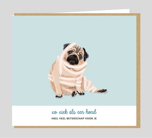 [GU014] Zo ziek als een hond ! Veel beterschap voor je